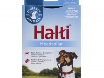 Halti Headcollar Black