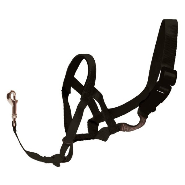 Halti Headcollar Black - Image 2