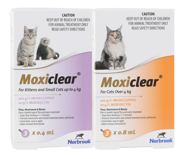 Moxiclear - For KittensCats Up To 4 Kg 6 Pack