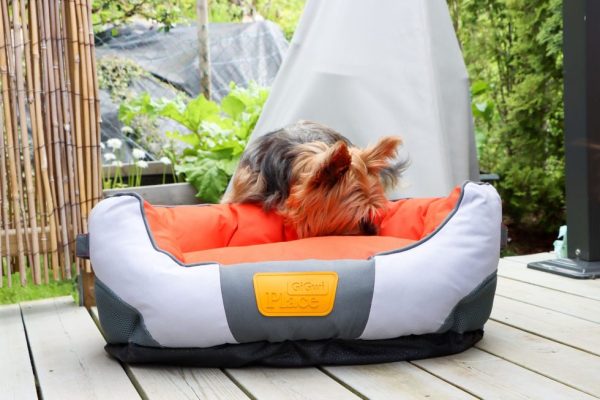 GiGwi Canvas Round Bed - Orange - Image 2