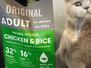 Black Hawk Cat - Chicken & Rice